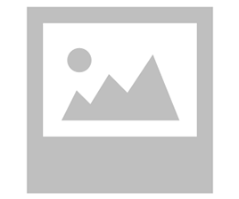 ફિશ ફ્રાય (Fish Fry)